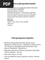 Biosinteza Glicogenului Hepatic