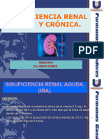 22insuficiencia Renal Aguda y Cronica.