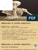 Osteologia