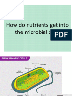 Microbiology Lec 2