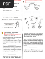 Claes de 5 Grado de Primaria