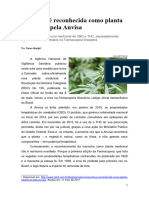 Maconha É Reconhecida Como Planta Medicinal Pela Anvisa