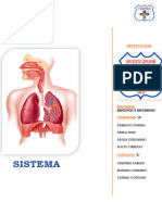 Sistema Respiratorio