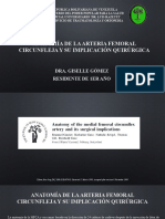 Anatomía de La Arteria Femoral Circunfleja