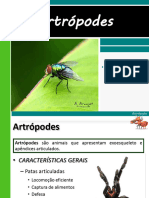 Artropodes Bio 2º Ano