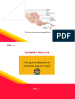 S05.1 - Fisiología Cardiovascular, Presión Arterial, Circulación y Ruidos Cardícos