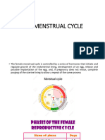 Menstrual Cycle