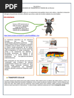 Taller 1 Mecanismos de Transporte Celular - Imprimir