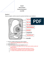 GR 9 NS Cell Worksheet Memo