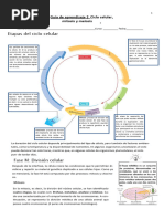 PROFEcelular Mitosis y Meiosis