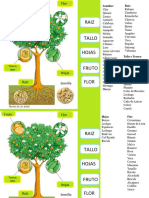 Alimentacion Basada en Plantas