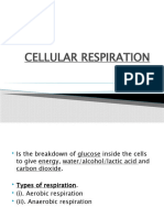 Celluar Respiration