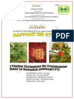 Rapport de Fin Stage Framboise-1