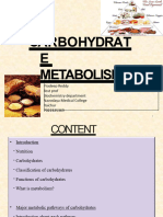 Carbohydratemetabolism 140214034339 Phpapp01