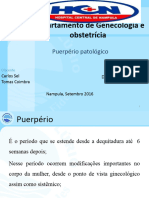 TEMA 3 Puerperio Patologico