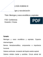 Conferencia Orientadora 8 Meninges y Vascularización