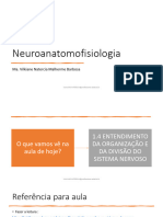 Aula 03 - Aula SN Anatomofisiologia