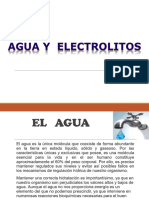 Tema 4 Metabolismo Del Agua y Electrolitos DR Torrico 2024