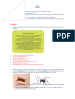 Actividades Sobre El DENGUE