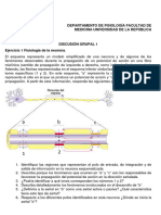 DG1-Neuro 2023