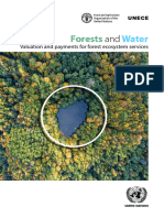 Forests Water Valuation UN