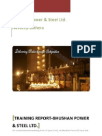 Bhushan Power & Steel Ltd.