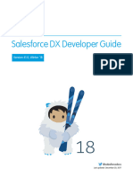 SFDX Dev