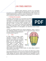 Trilobite