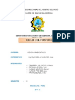 Ciclo Biogeoquimico Del Fosforo