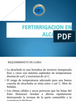 Fertirrigacion Alcachofa