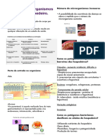 Como Os Microrganismos Infectam o Hospedeiro