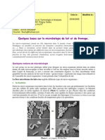 Quelques Bases Sur La Microbiologie Du Lait Et Du Fromage