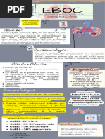 Infografia de EBOC