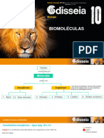 3) Biomoléculas