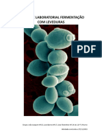 Atividade Laboratorial Fermentação Com Leveduras