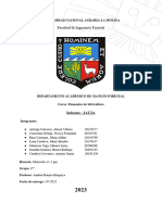 Informe Jauja - Grup Pract