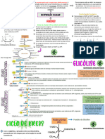 Etapas: Glicólise