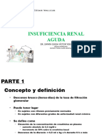 Insuficiencia Renal Aguda