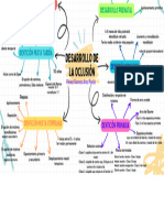 Desarrollo de La Oclusión