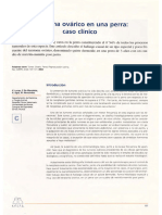 Teratoma Ovárico en Una Perra: Caso Clínico: Introducción