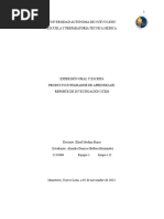 Formato Reporte Investigación Pia Eoye