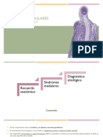Síndromes Medulares - NRC