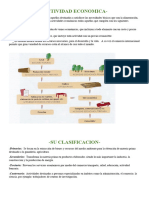 Actividad Economica