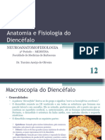 12 - Anatomia Do Diencéfalo