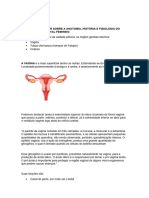 Sistema Reprodutor Feminino