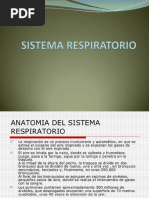 Respiratorio Tratamiento