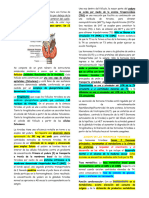 Sindromes Tiroideos