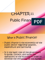 Chapter 11 - Public Finance