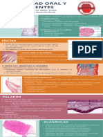 Cavidades Oral y Dientes