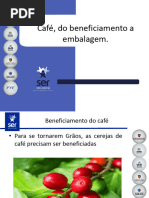 Cafe Do Beneficiamento A Embalagem